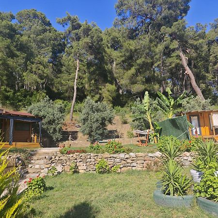 Tiny Mini House Hotel Dalaman Exterior photo