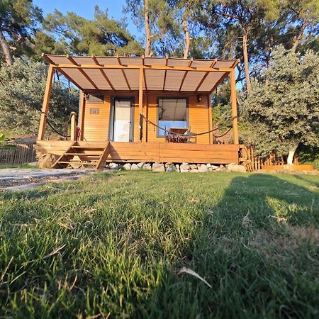 Tiny Mini House Hotel Dalaman Exterior photo