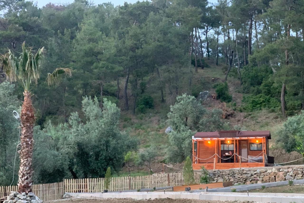 Tiny Mini House Hotel Dalaman Exterior photo